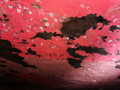 36329f4a-48e4-4f95-bbc2-e9d770da78d3