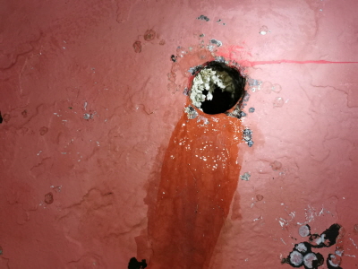 8889a59f-8aac-4c9a-b23c-cc2e5346e3b1